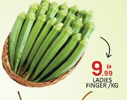 available at المدينة in الإمارات العربية المتحدة , الامارات - دبي