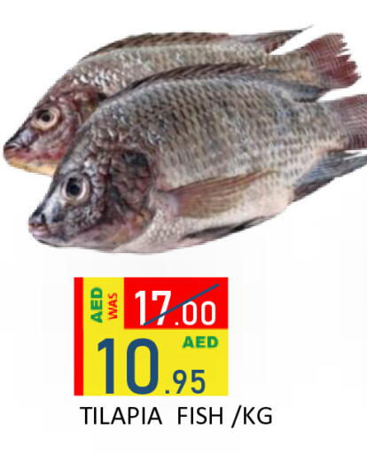 available at رويال جلف هايبرماركت in الإمارات العربية المتحدة , الامارات - أبو ظبي