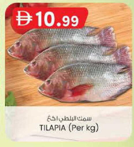 available at K M Trading  in UAE - Dubai