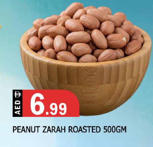 available at المدينة in الإمارات العربية المتحدة , الامارات - الشارقة / عجمان