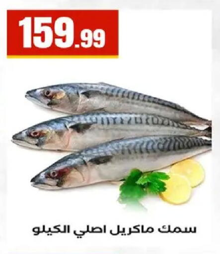 available at مارت فيل in Egypt - القاهرة