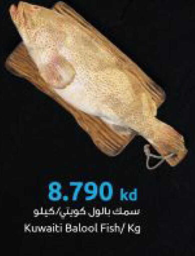 available at The Sultan Center in Kuwait - Kuwait City