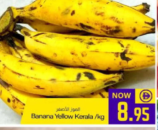 Banana available at Meem Sajidha in UAE - Fujairah