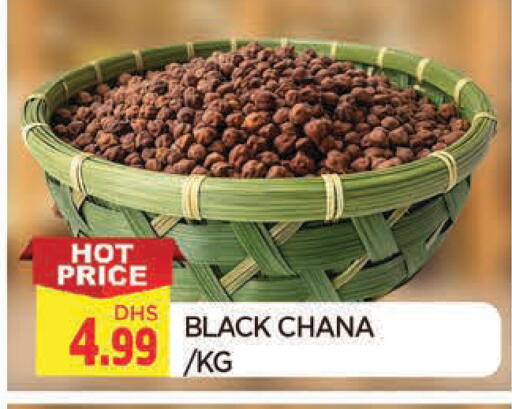 available at المدينة in الإمارات العربية المتحدة , الامارات - الشارقة / عجمان