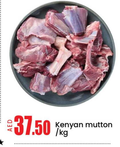 Mango available at مانجو هايبرماركت in الإمارات العربية المتحدة , الامارات - دبي