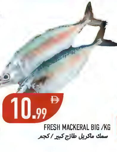 available at  روابي ماركت عجمان in الإمارات العربية المتحدة , الامارات - الشارقة / عجمان