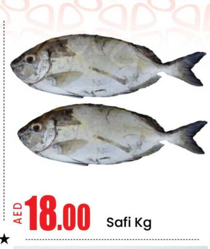 Mango available at مانجو هايبرماركت in الإمارات العربية المتحدة , الامارات - دبي