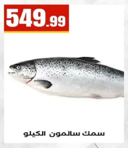 available at مارت فيل in Egypt - القاهرة