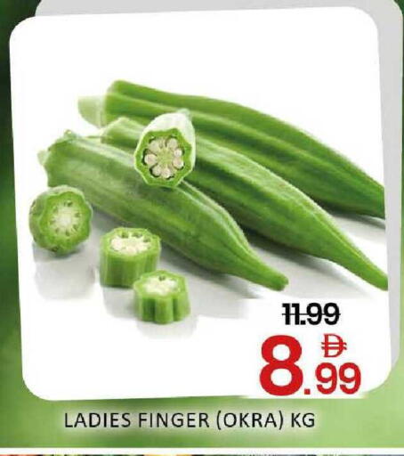 Okra available at المدينة in الإمارات العربية المتحدة , الامارات - دبي