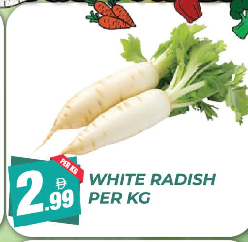Radish available at Dream Land in UAE - Dubai