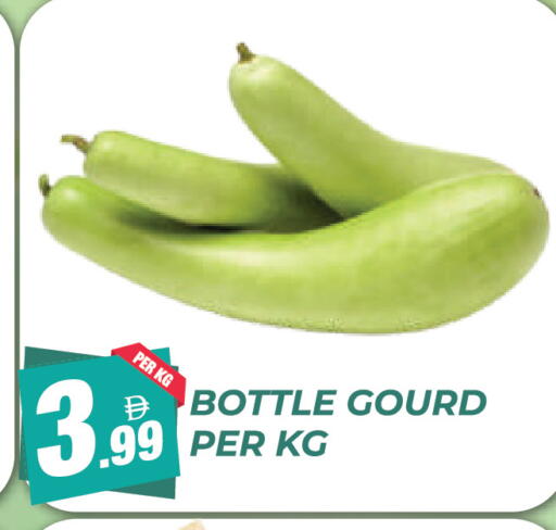 available at Dream Land in UAE - Dubai