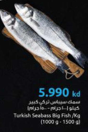 available at The Sultan Center in Kuwait - Kuwait City