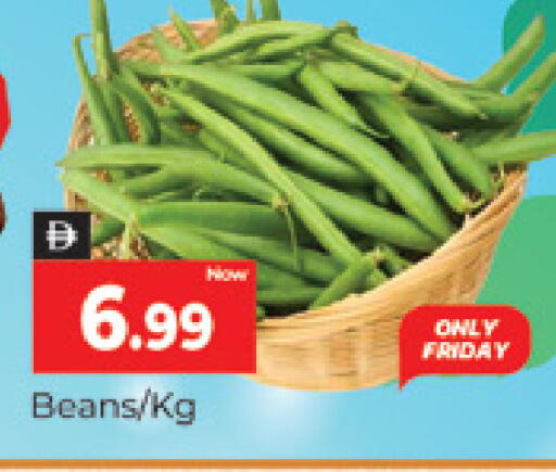 available at المدينة in الإمارات العربية المتحدة , الامارات - دبي