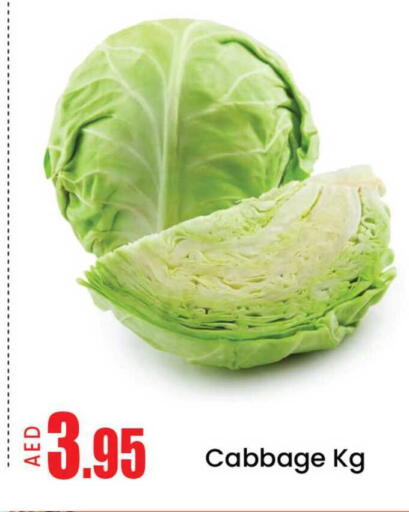 Mango Cabbage available at مانجو هايبرماركت in الإمارات العربية المتحدة , الامارات - دبي