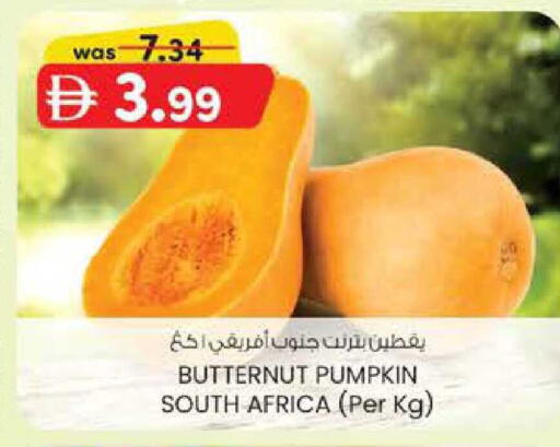 Pumpkin from South Africa available at K M Trading  in UAE - Abu Dhabi