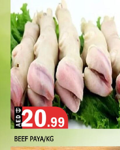 available at المدينة in الإمارات العربية المتحدة , الامارات - الشارقة / عجمان