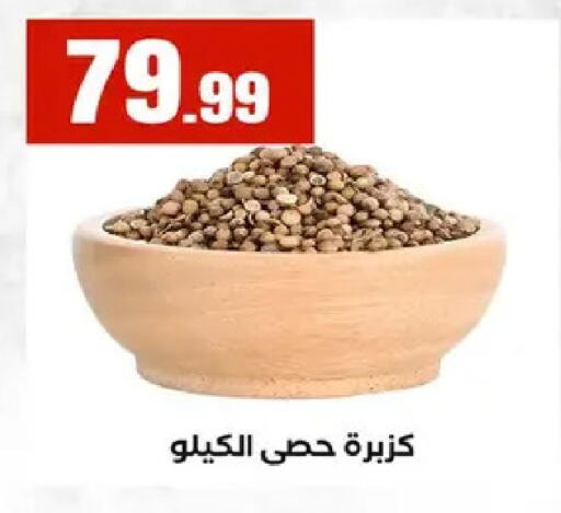 available at El Mahlawy Stores in Egypt - Cairo