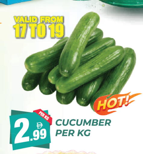Cucumber available at دريم لاند in الإمارات العربية المتحدة , الامارات - دبي