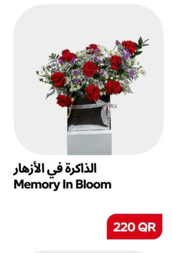 available at سنومارت in قطر - الدوحة