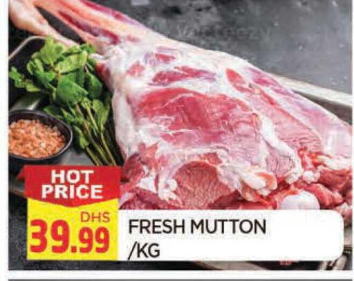 available at AL MADINA in UAE - Sharjah / Ajman