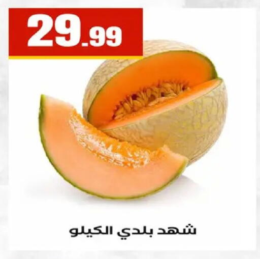 available at المحلاوي ستورز in Egypt - القاهرة