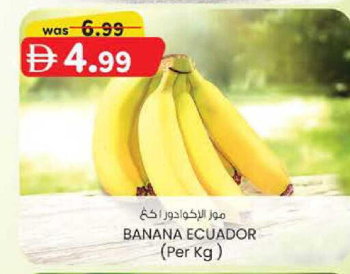 Banana from Ecuador available at ك. الم. للتجارة in الإمارات العربية المتحدة , الامارات - ٱلْفُجَيْرَة‎