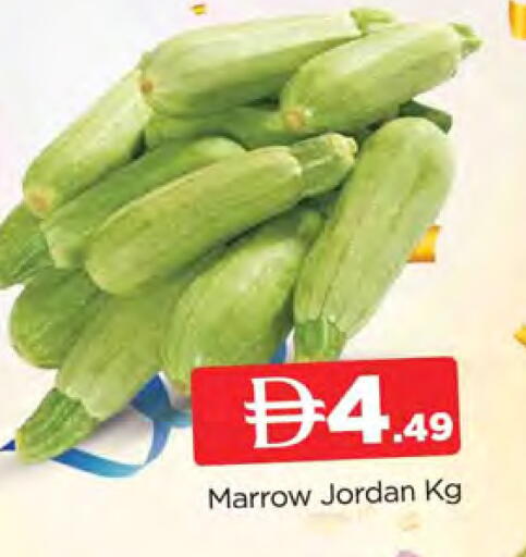 Marrow from Jordan available at المدينة in الإمارات العربية المتحدة , الامارات - الشارقة / عجمان