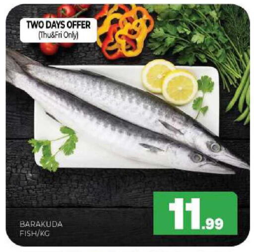 available at المدينة in الإمارات العربية المتحدة , الامارات - الشارقة / عجمان