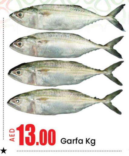 Mango available at مانجو هايبرماركت in الإمارات العربية المتحدة , الامارات - دبي