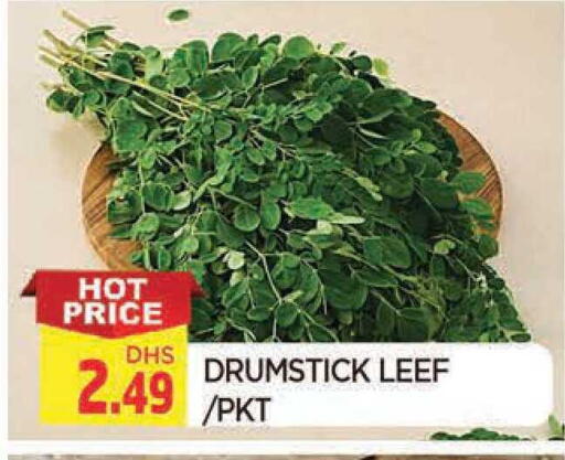 available at المدينة in الإمارات العربية المتحدة , الامارات - الشارقة / عجمان