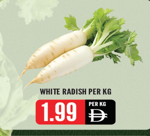 Radish available at Dream Land in UAE - Sharjah / Ajman