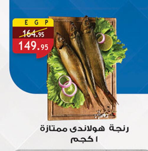 available at الرايه  ماركت in Egypt - القاهرة