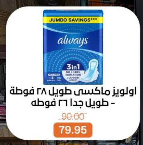 available at بيت الجملة in Egypt - القاهرة