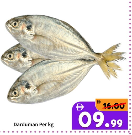 available at رويال جلف هايبرماركت in الإمارات العربية المتحدة , الامارات - أبو ظبي