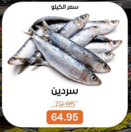 available at بيت الجملة in Egypt - القاهرة