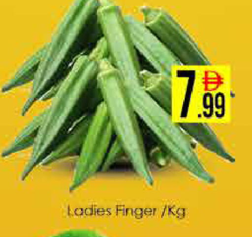 available at ايكو مول & ايكو هايبرماركت in الإمارات العربية المتحدة , الامارات - دبي