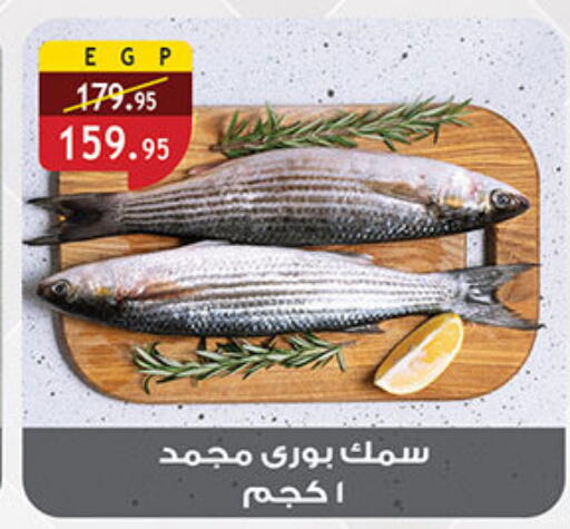 available at Al Rayah Market   in Egypt - Cairo