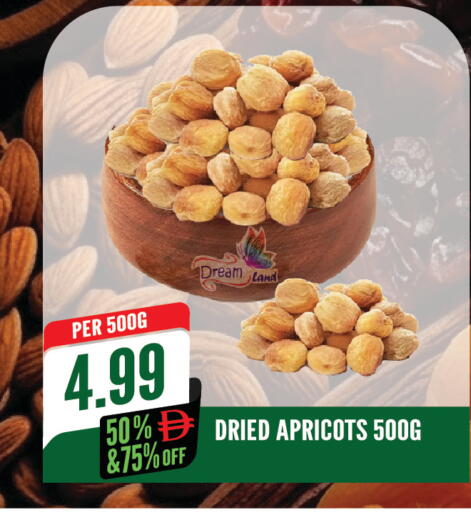 available at Dream Land in UAE - Sharjah / Ajman