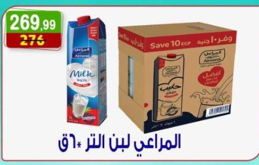 available at Hyper Eagle in Egypt - Cairo