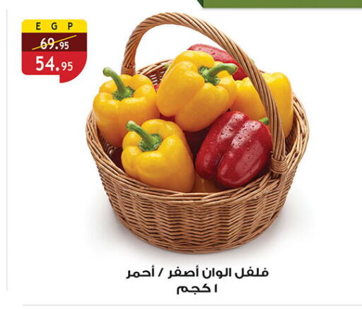 available at Al Rayah Market   in Egypt - Cairo