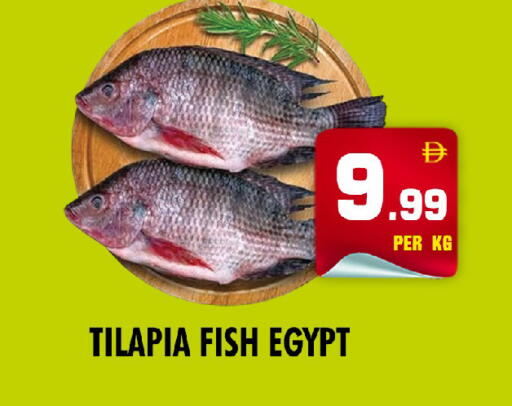 available at نايت تو نايت in الإمارات العربية المتحدة , الامارات - الشارقة / عجمان