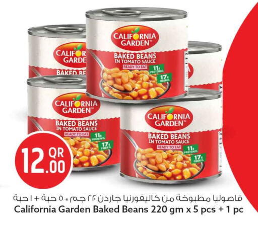 Tomato available at سفاري هايبر ماركت in قطر - الخور