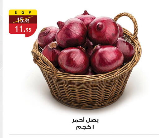 available at Al Rayah Market   in Egypt - Cairo