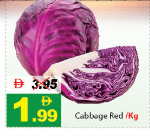 Cabbage available at DESERT FRESH MARKET  in UAE - Abu Dhabi