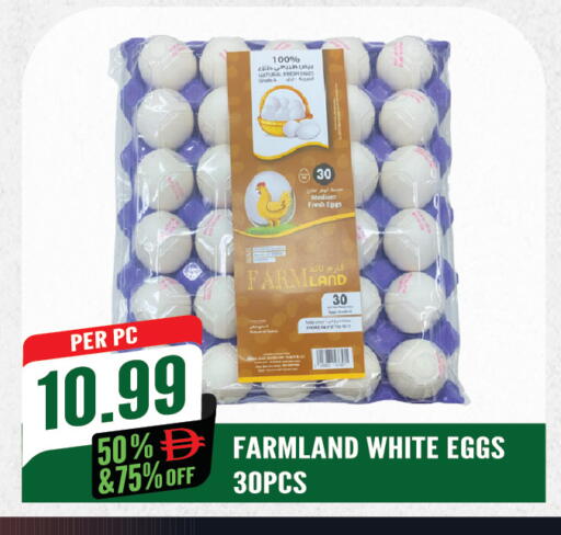 available at Dream Land in UAE - Sharjah / Ajman