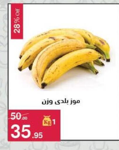 available at محمود الفار in Egypt - القاهرة