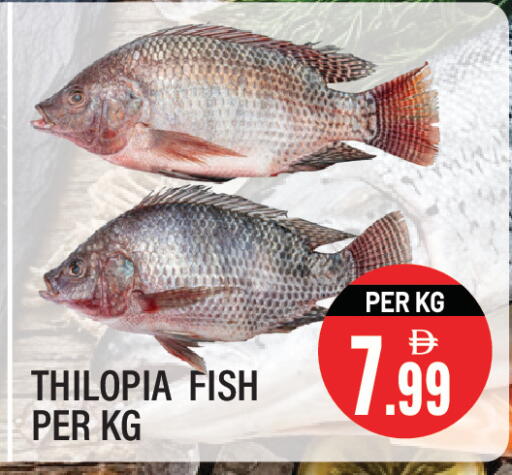 available at Dream Land in UAE - Sharjah / Ajman