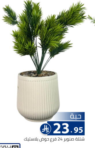 available at Family Discount in KSA, Saudi Arabia, Saudi - Riyadh