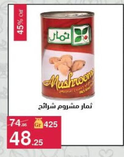 Mushroom available at محمود الفار in Egypt - القاهرة
