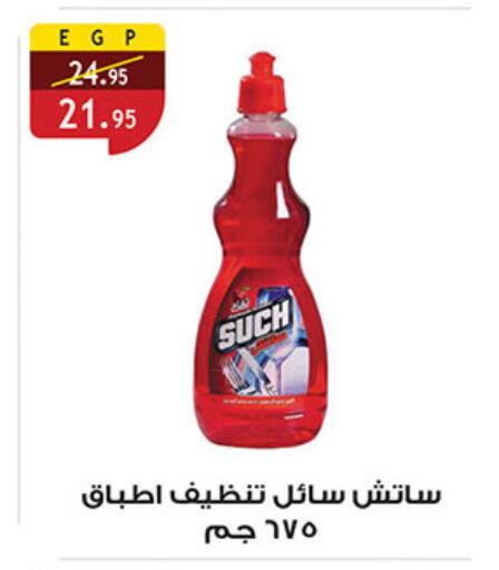available at الرايه  ماركت in Egypt - القاهرة